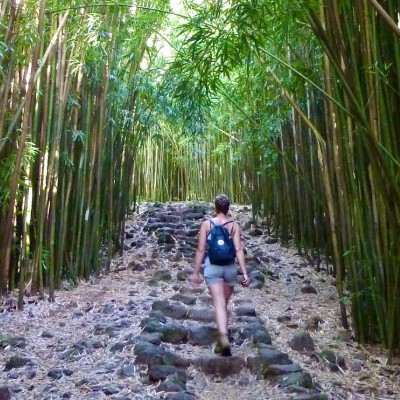A woman with a backpack on walking through a tall bamboo forest